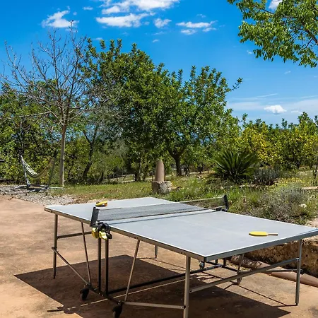 Finca Moscari *